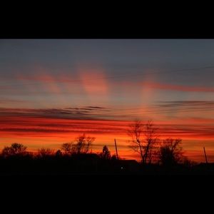 Meet your Posher, Marlene s